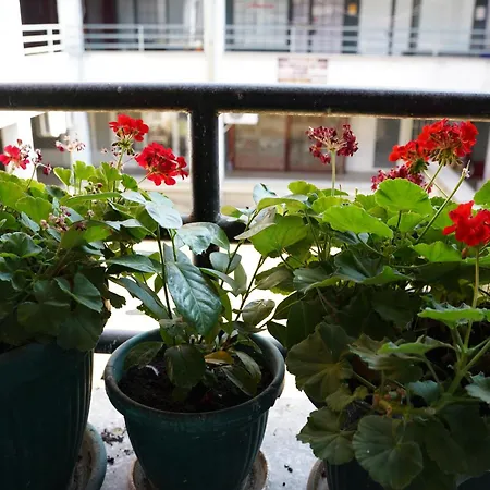 Jacuzzi Sensation アパート